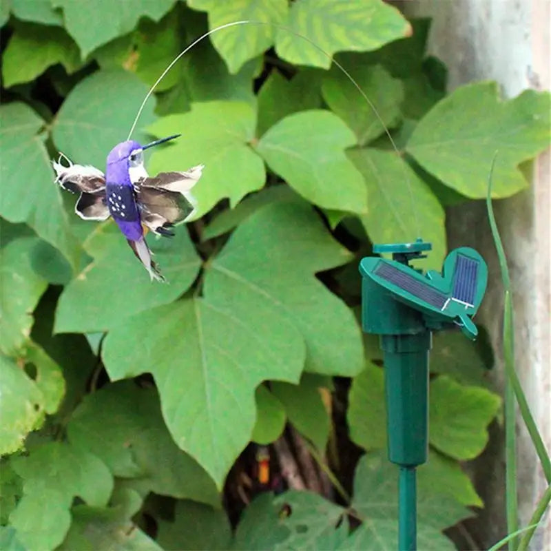 FlyingSolar - Colibrì ornamentale