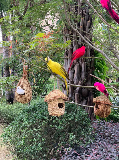 TropicPerch - Decorazione da giardino per pappagalli