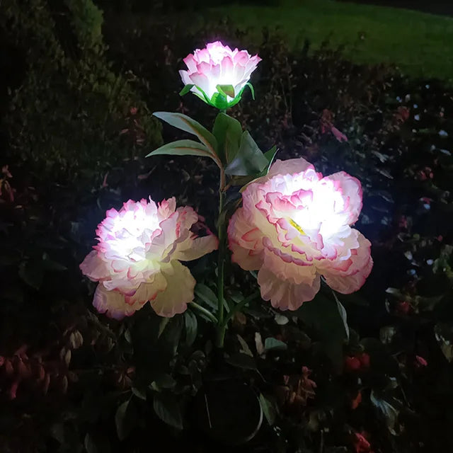 PeonyGlow - Luce floreale a energia solare