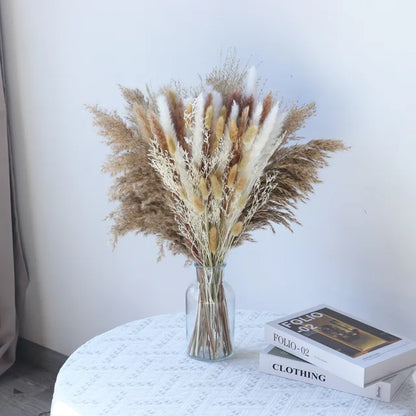 Erba della Pampa vellutata e soffice